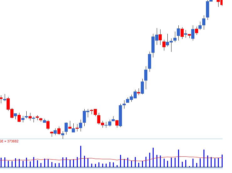 stop loss option volume kya hai